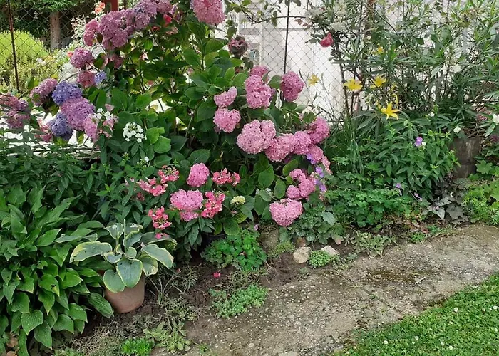 Magdalena * Залакарош